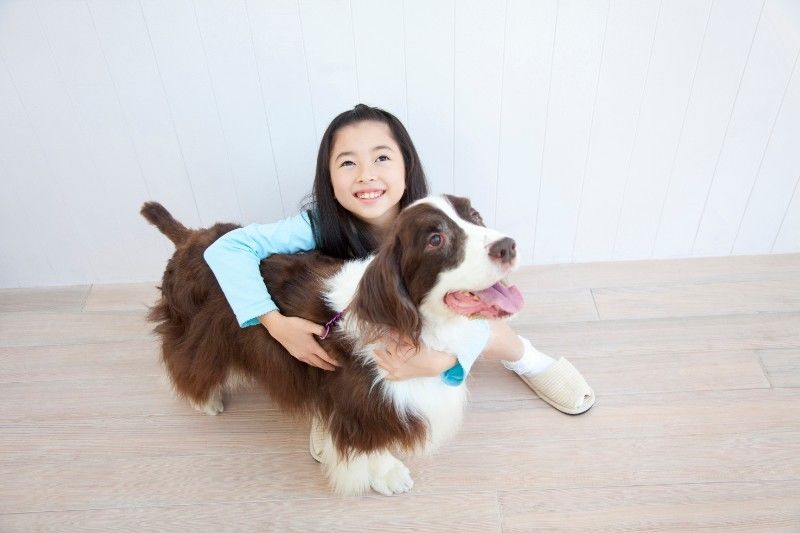 犬と子供